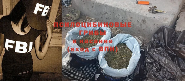 гашик Аркадак