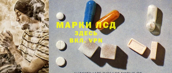 гашик Аркадак
