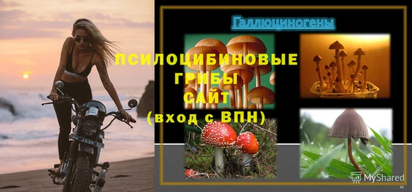 герыч Арсеньев