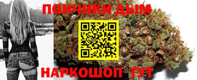 соль ск Новодвинск