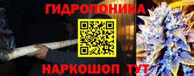 соль ск Новодвинск
