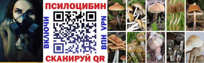 Галлюциногенные грибы Cubensis  наркота  Черкесск 