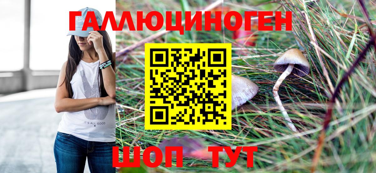 Псилоцибиновые грибы Magic Shrooms Черкесск