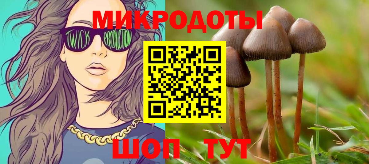 Псилоцибиновые грибы MAGIC MUSHROOMS  Вход с VPN  Черкесск 